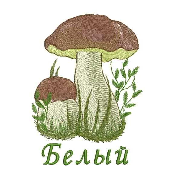 Дизайн вышивки белых грибов. Два боровика с коричневыми шляпками и светлой ножкой. Зелёная трава, веточки. Стильная надпись «Белый»